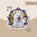 Dungeon Dog Sticker, Personalized Pet Sticker, Photo Sticker, DnD Sticker, Personalized DnD Sticker, Gift for Pet Owners, Gift for Dog Lover