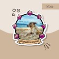 Dungeon Dog Sticker, Personalized Pet Sticker, Photo Sticker, DnD Sticker, Personalized DnD Sticker, Gift for Pet Owners, Gift for Dog Lover