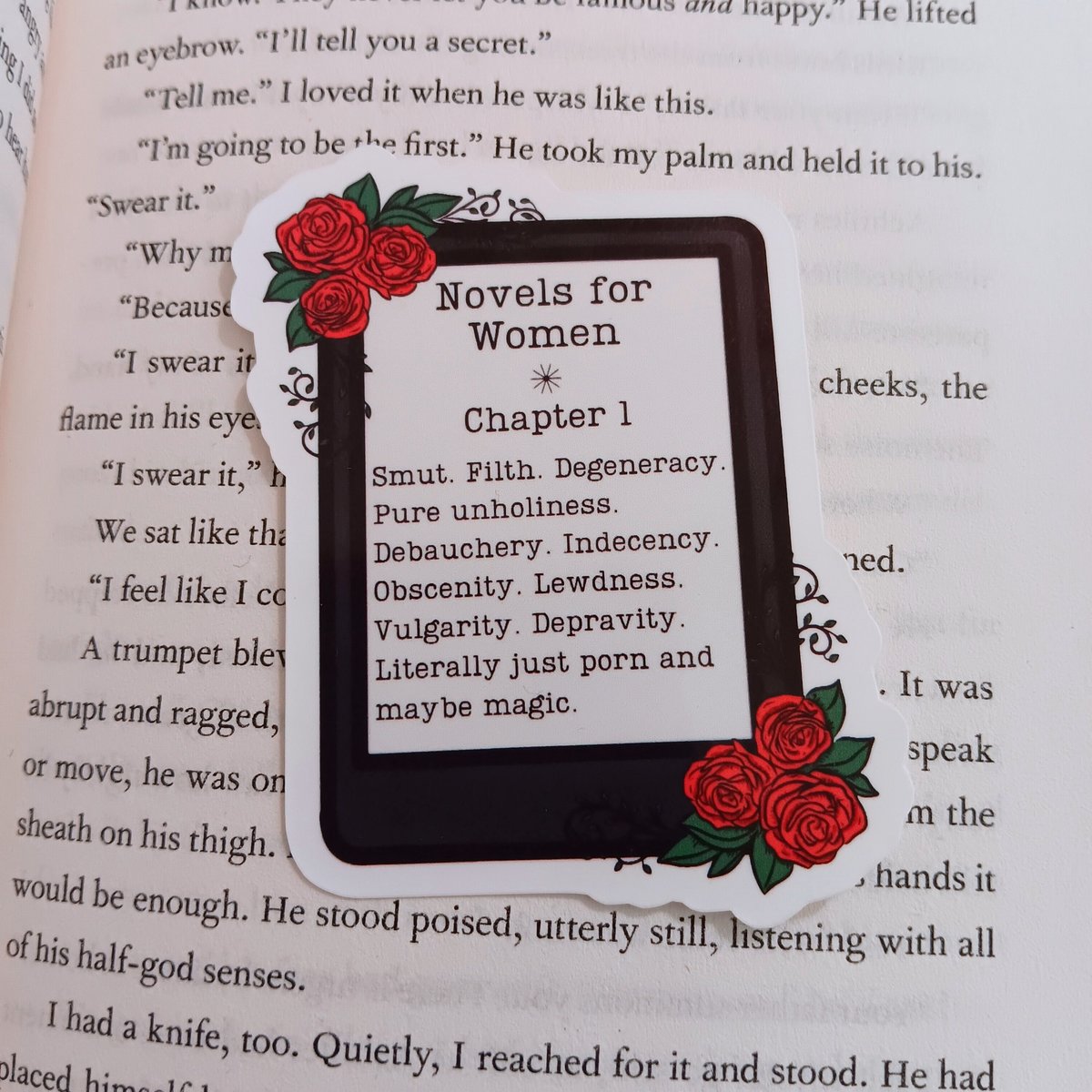 Novels for Women Sticker, Funny Kindle Sticker, Book Sticker, Journal Sticker, Laptop Sticker, Spicy Book Sticker, Booktok, Weatherproof