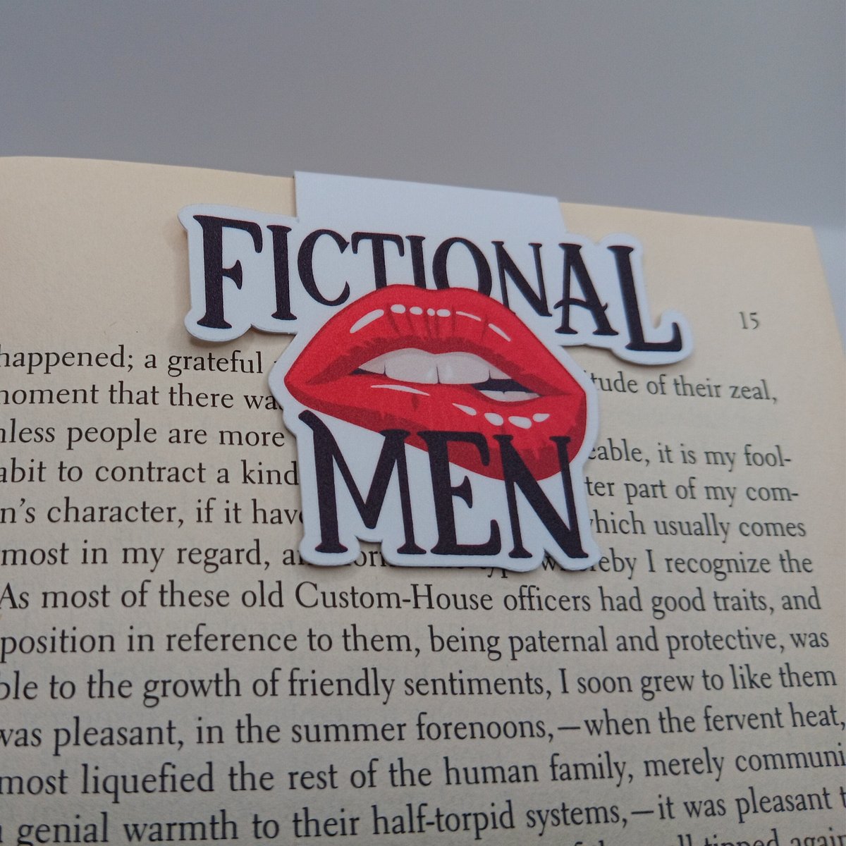 Fictional Men Bookmark, funny bookmark, gift for reader, magnetic bookmark